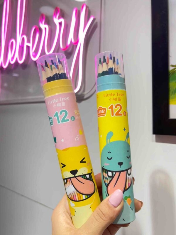12 Colour Box Pencils