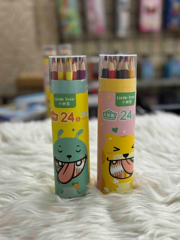 24 Colour Box Pencils